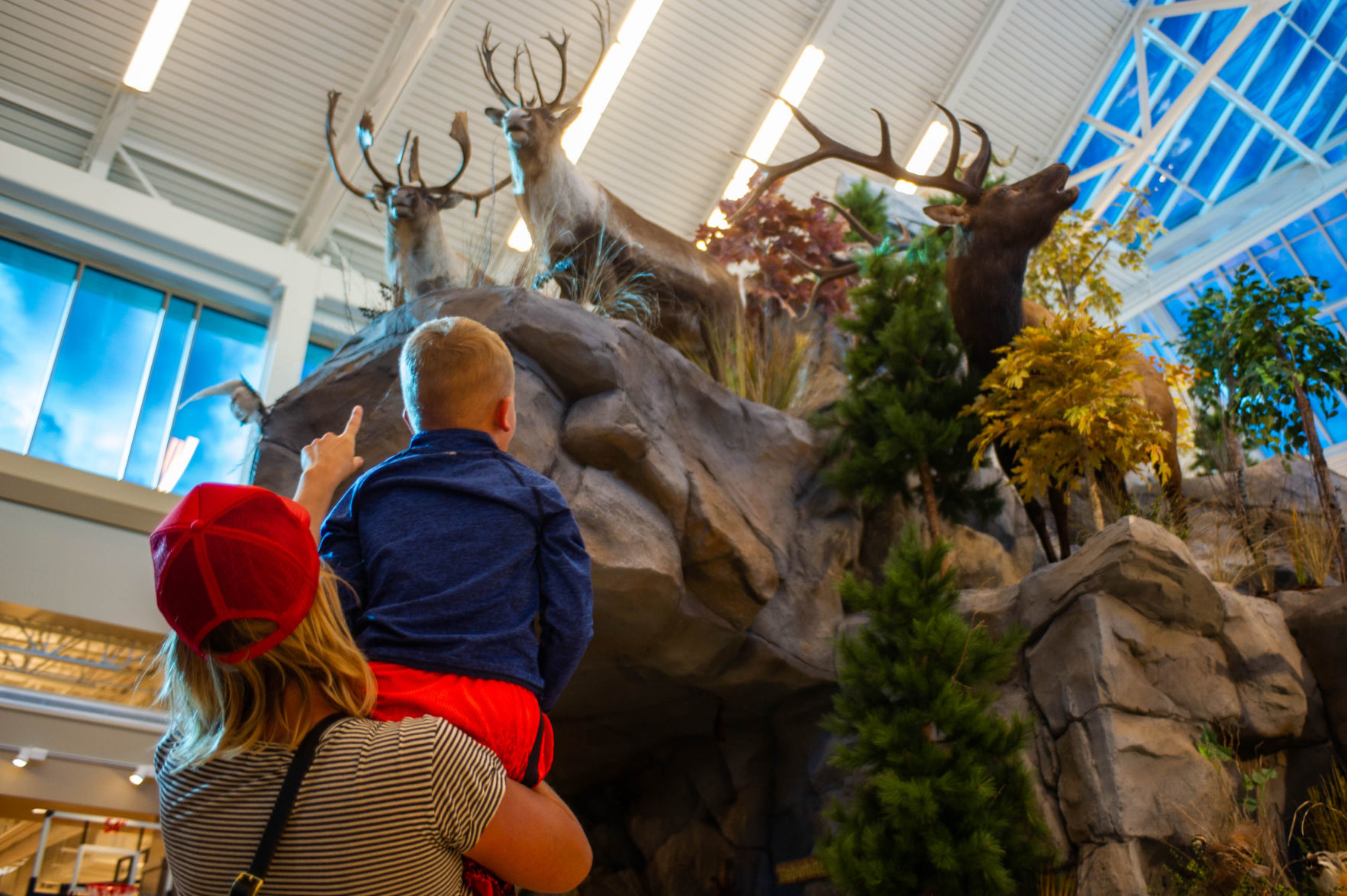 Scheels Grand Opening, 9/27